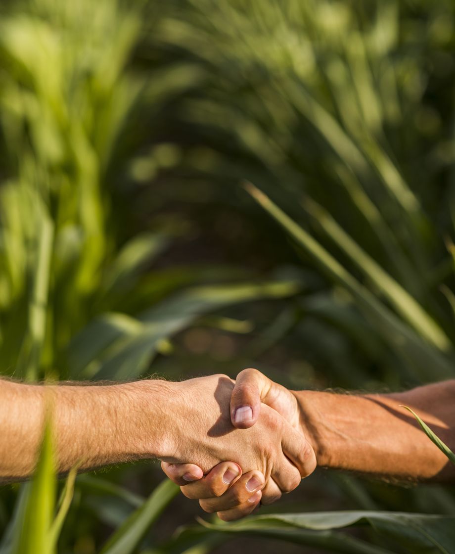 Aperto de mão no meio da lavoura entre consultor e produtor rural